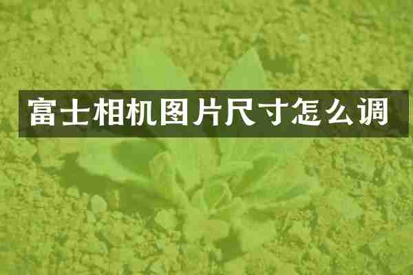 富士相机图片尺寸怎么调