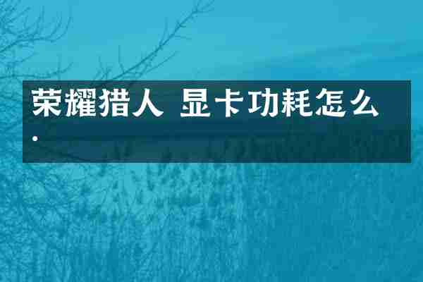 荣耀猎人 显卡功耗怎么样