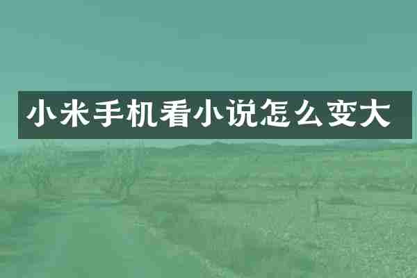 小米手机看小说怎么变大