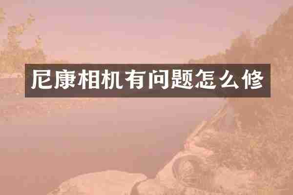 尼康相机有问题怎么修