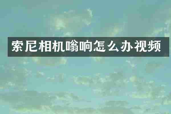 索尼相机嗡响怎么办视频
