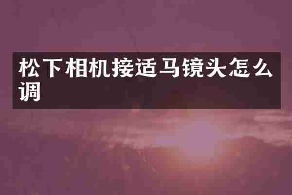 松下相机接适马镜头怎么调