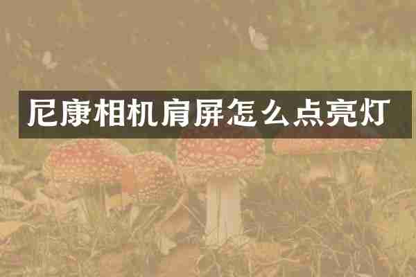 尼康相机肩屏怎么点亮灯