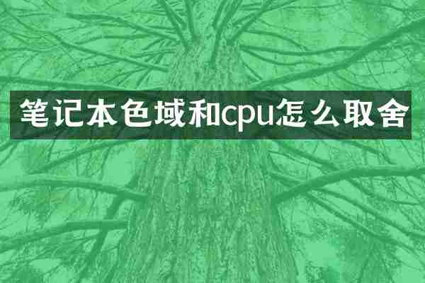 笔记本色域和cpu怎么取舍
