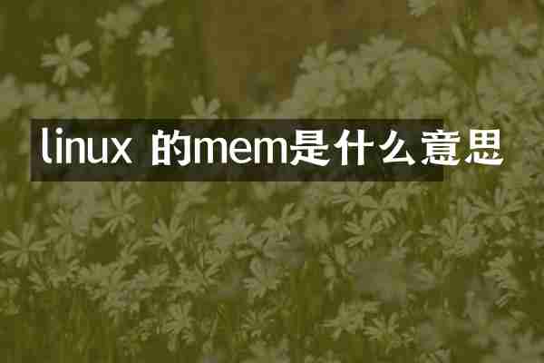 linux 的mem是什么意思
