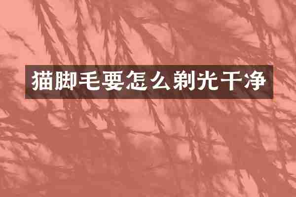 猫脚毛要怎么剃光干净