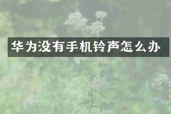 华为没有手机铃声怎么办