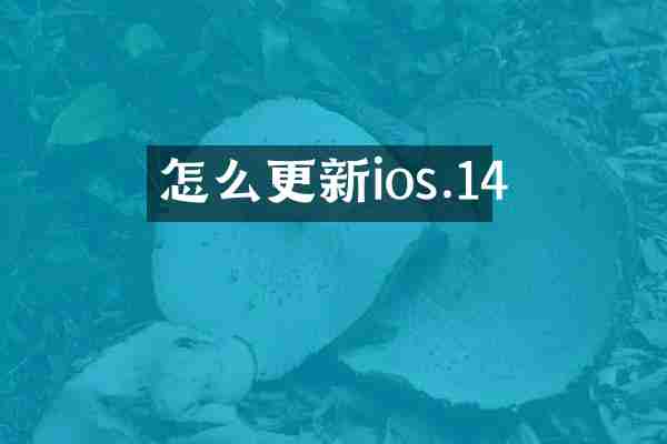 怎么更新ios.14