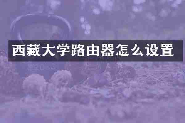 西藏大学路由器怎么设置
