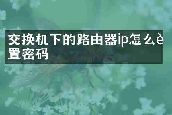 交换机下的路由器ip怎么设置密码