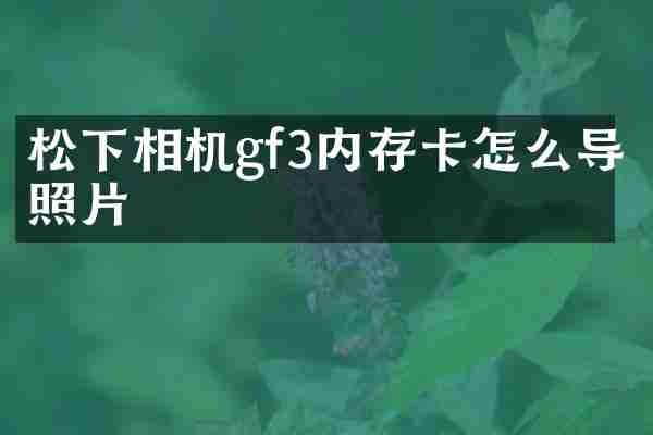 松下相机gf3内存卡怎么导照片