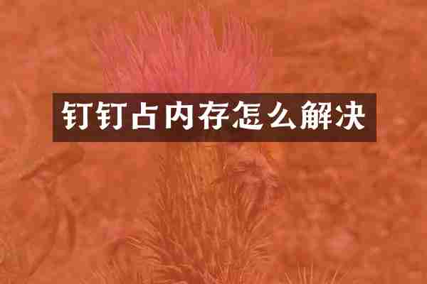 钉钉占内存怎么解决
