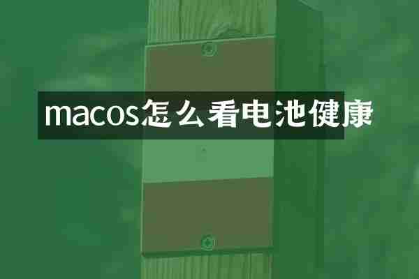 macos怎么看电池健康
