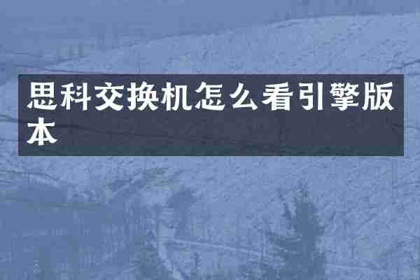 思科交换机怎么看引擎版本