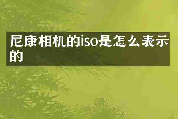 尼康相机的iso是怎么表示的