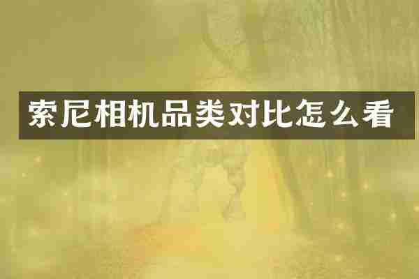 索尼相机品类对比怎么看
