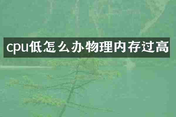 cpu低怎么办物理内存过高