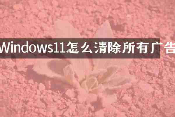 Windows11怎么清除所有广告