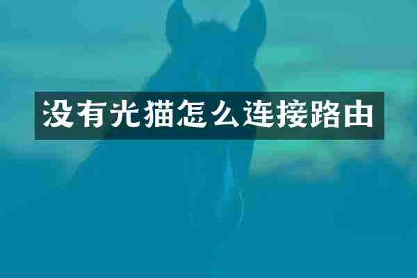 没有光猫怎么连接路由