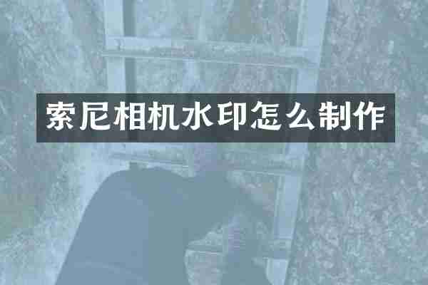 索尼相机水印怎么制作