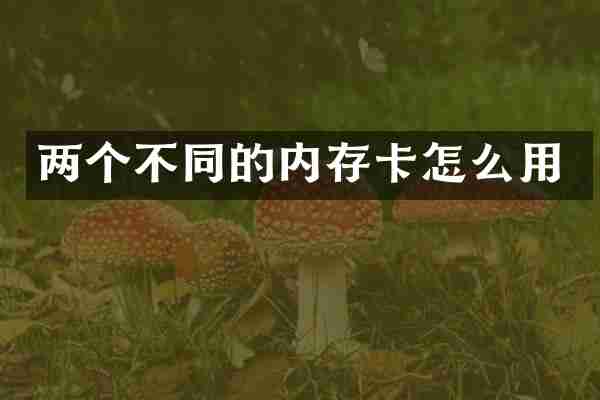 两个不同的内存卡怎么用