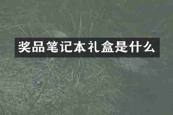 奖品笔记本礼盒是什么