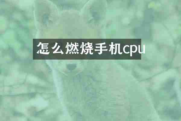 怎么燃烧手机cpu