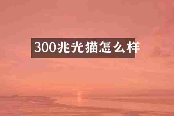 300兆光猫怎么样