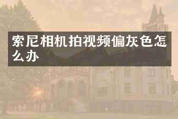 索尼相机拍视频偏灰色怎么办