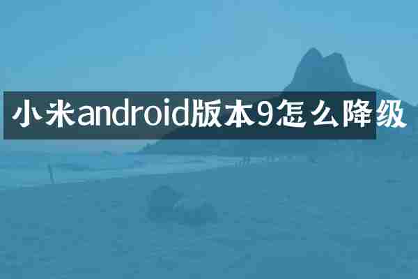 小米android版本9怎么降级