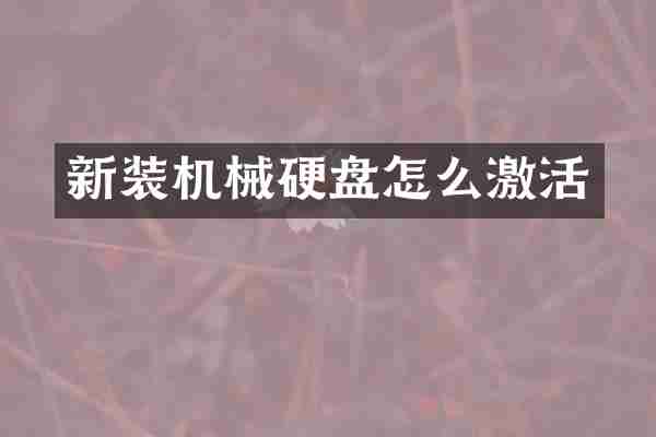 新装机械硬盘怎么激活