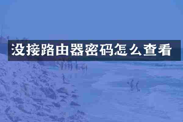 没接路由器密码怎么查看