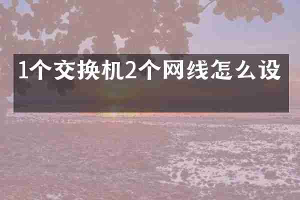 1个交换机2个网线怎么设置