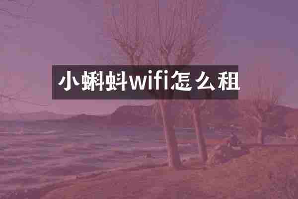 小蝌蚪wifi怎么租