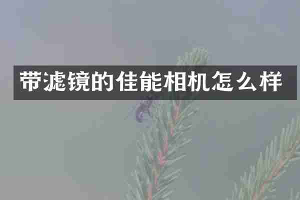 带滤镜的佳能相机怎么样