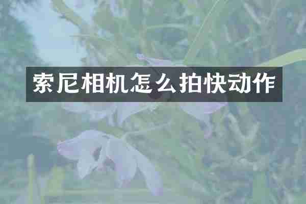 索尼相机怎么拍快动作
