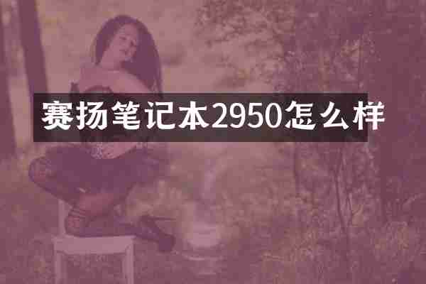赛扬笔记本2950怎么样