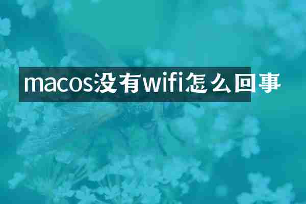 macos没有wifi怎么回事