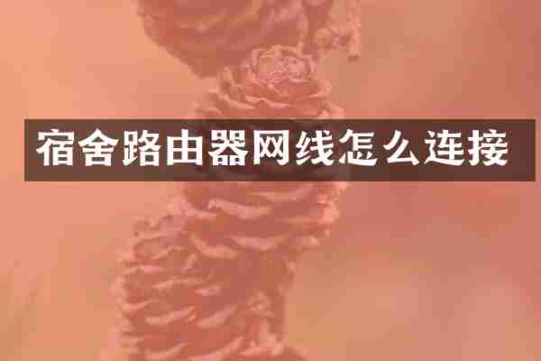 宿舍路由器网线怎么连接