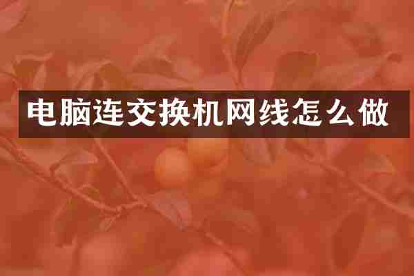 电脑连交换机网线怎么做