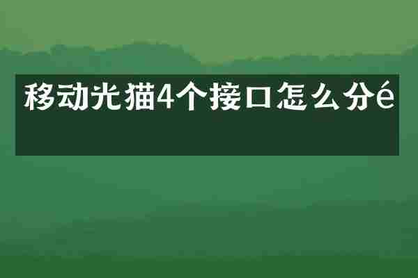 移动光猫4个接口怎么分配