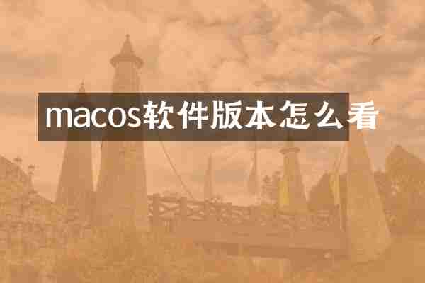 macos软件版本怎么看