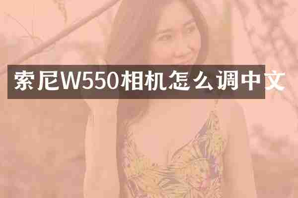 索尼W550相机怎么调中文