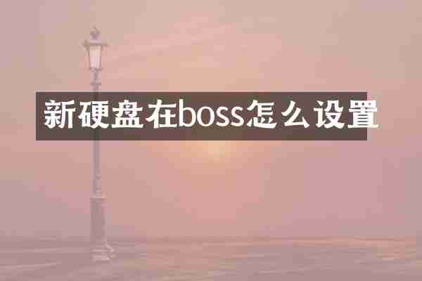 新硬盘在boss怎么设置