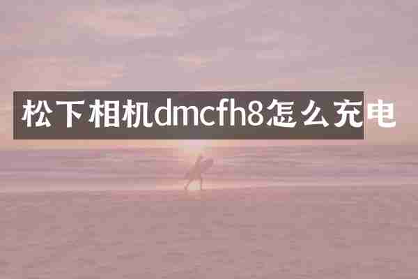 松下相机dmcfh8怎么充电