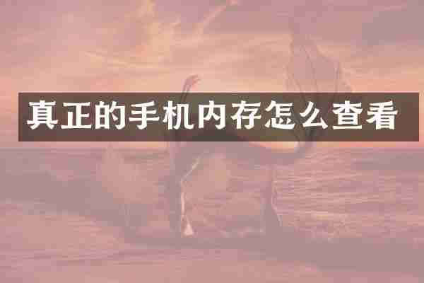 真正的手机内存怎么查看