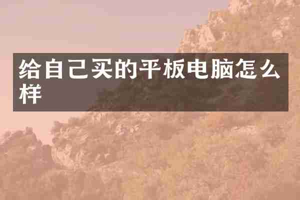 给自己买的平板电脑怎么样