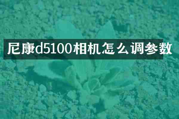 尼康d5100相机怎么调参数