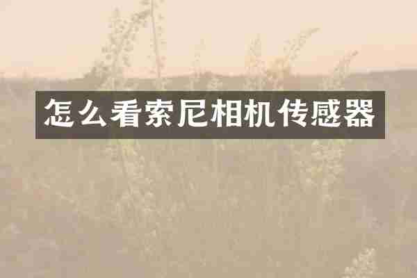 怎么看索尼相机传感器