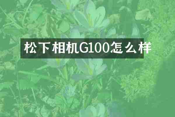 松下相机G100怎么样